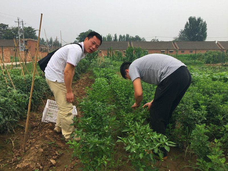 好利來郭總喊您來摘菜啦！綠色無公害，放心！