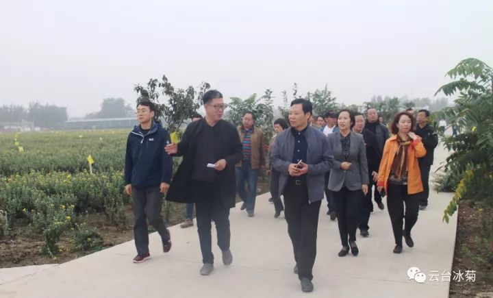 云臺冰菊基地發生了什么？一批批領導專家團隊前來！